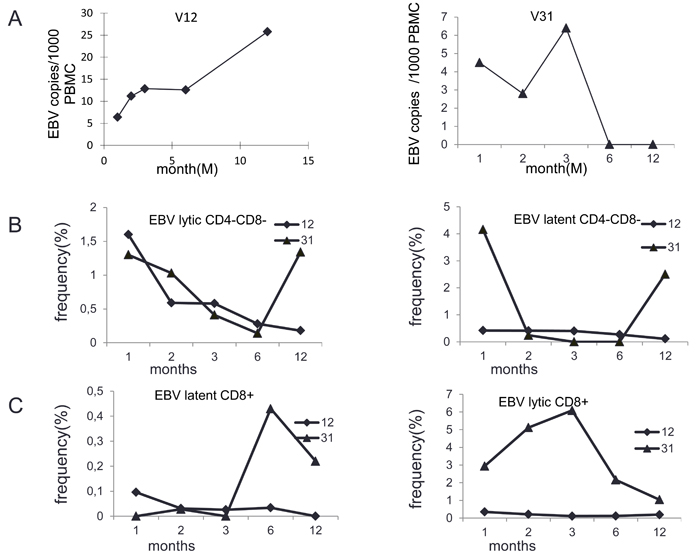 Analysis of EBV specific T cells in patients with different EBV DNA load dynamics.