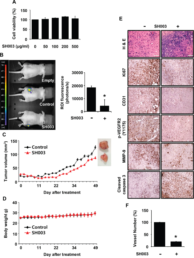 SH003 inhibits tumor growth in vivo.