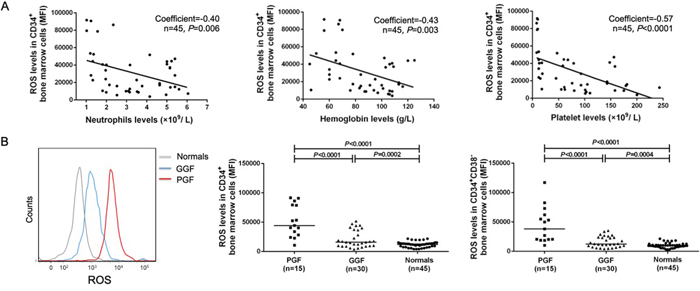 Elevated levels of ROS in subjects with poor graft function.