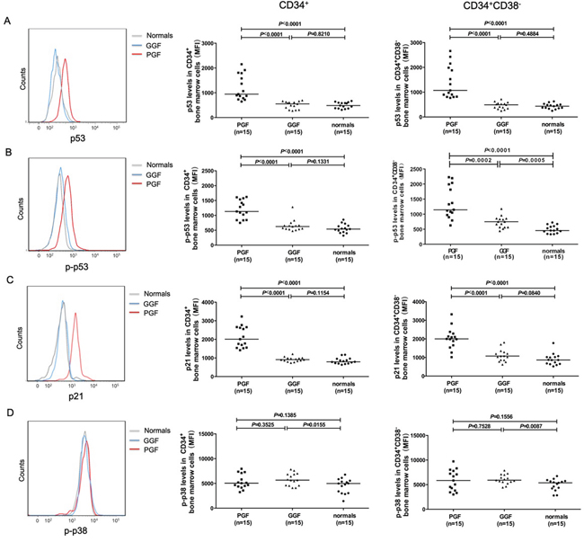 Elevated levels of intracellular p53, phospho-p53, and p21 (but not phospho-p38) in subjects with poor graft function.