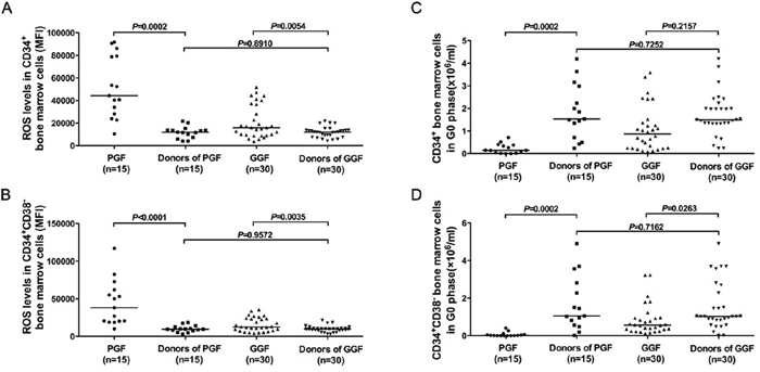 Intracellular ROS levels and cell cycle status in subjects with poor or good graft function were compared with those in their paired donors&#x2019; bone marrow cells.