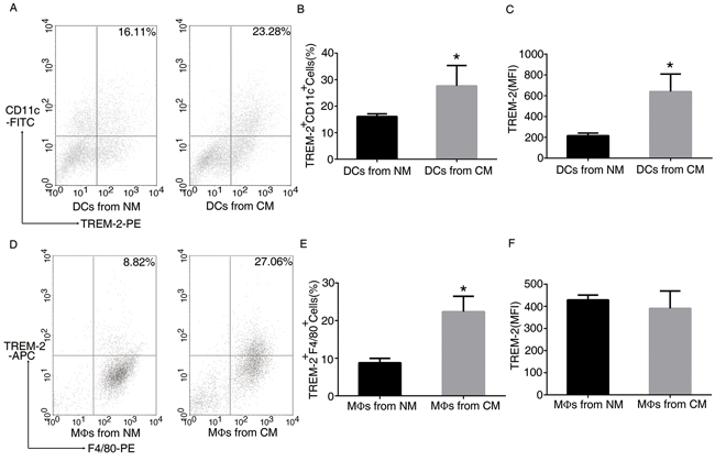 TREM-2 on bone marrow-derived DCs and M&#x03A6;s was induced by conditional medium (CM).