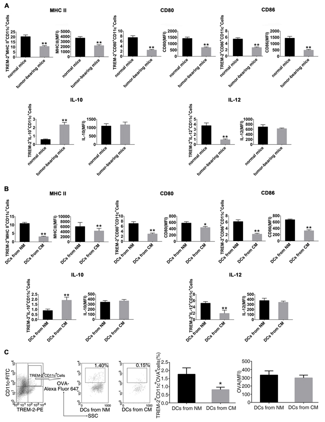 Cancer-elicited TREM-2+DCs had impaired phenotypes and functions.