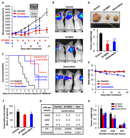 EC-8042 inhibits the growth of MLS sarcoma xenografts derived from transformed hMSCs.