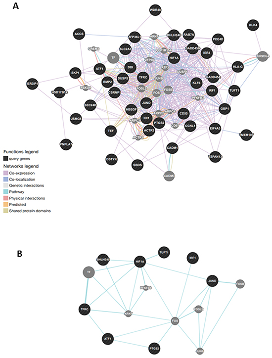 Gene network analysis in normal tissue of tumoral thyroids.