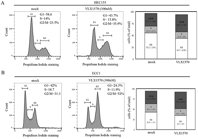 USP14 inhibition induces G2-M cell cycle arrest in endometrial cancer cells.