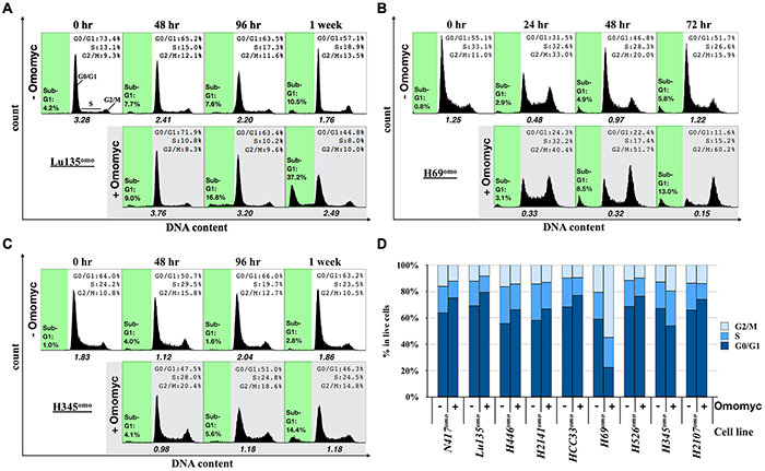 Effects of Omomyc on cell cycle progression.