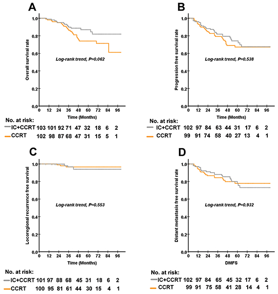 The Kaplan&#x2013;Meier curves for OS, PFS, LRFS and DMFS according to the treatment arm in 103 paired (a total of 206) patients with high-risk nasopharyngeal carcinoma.