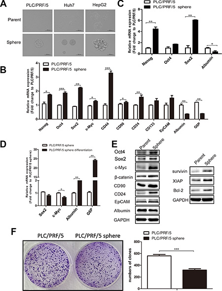 PLC/PRF/5 sphere cells possess multiple properties associated with liver CSCs.