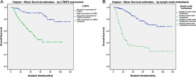 Survival curves of HNSCC patients by the Kaplan&#x2013;Meier method and the log-rank test.