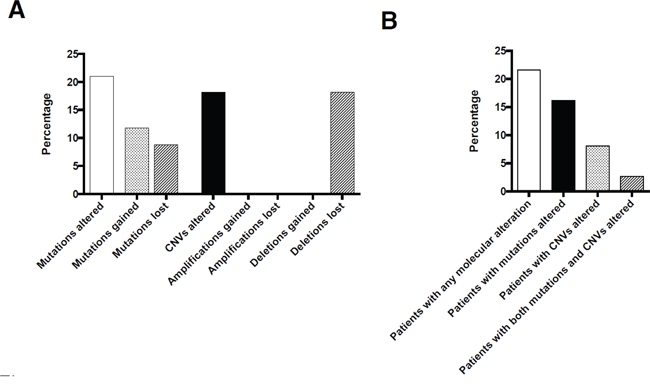 Overall number of molecular changes occurring under therapy on a per mutation/CNV