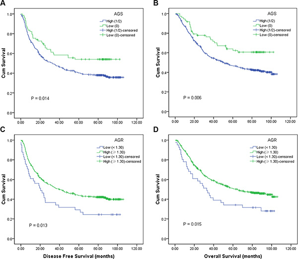 Kaplan-Meier survival curves of 458 esophageal squamous cell carcinoma patients.