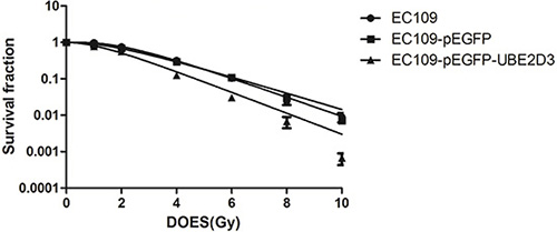 Effects of UBE2D3 overexpression on the radiosensitivity in EC109 cells.