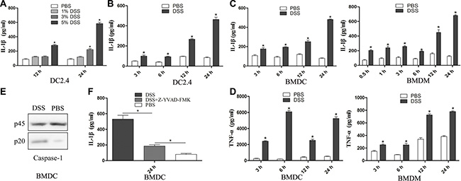 DSS induces partially caspase-1 dependent release of IL-1&#x03B2; in murine dendritic cells.