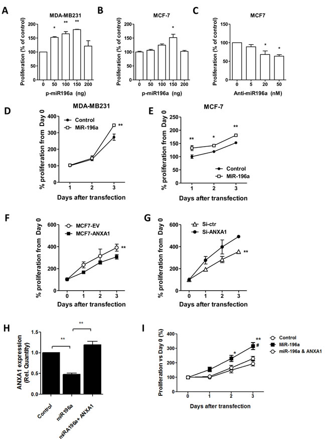 MiR-196a promotes breast cancer cell proliferation