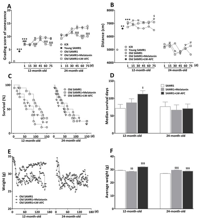 The treatment of LW-AFC slowed the aging process of SAMR1 mice.