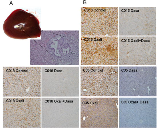 Figure 4: