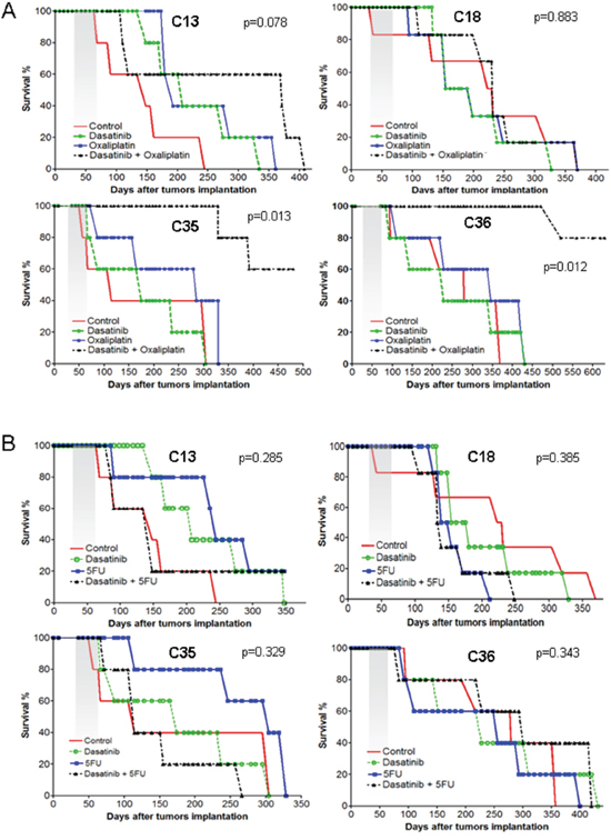 Survival curve of treated murine cohorts.