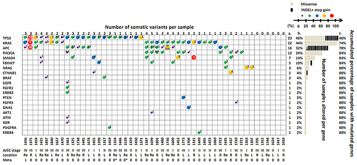 Distribution of 77 somatic variants on 20 genes in the 50 CRC patients.