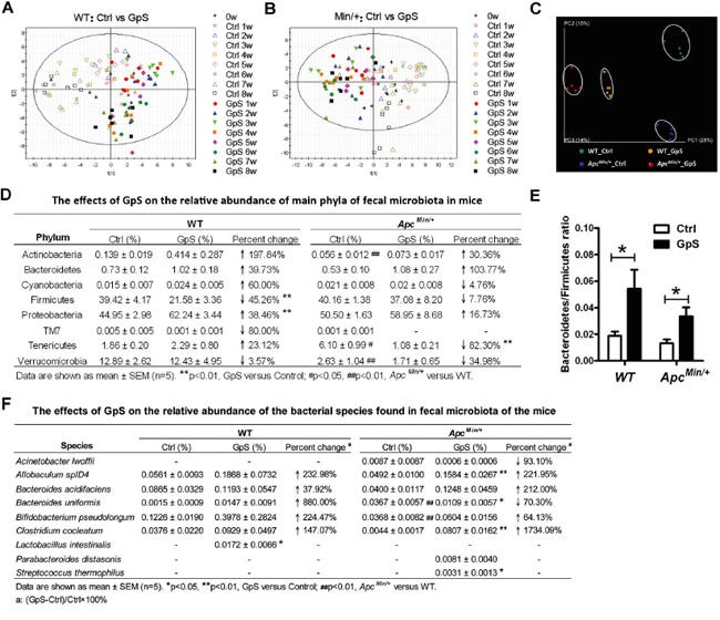 Comparison of microbial composition between the control and GpS-treated WT and ApcMin/+ mice.