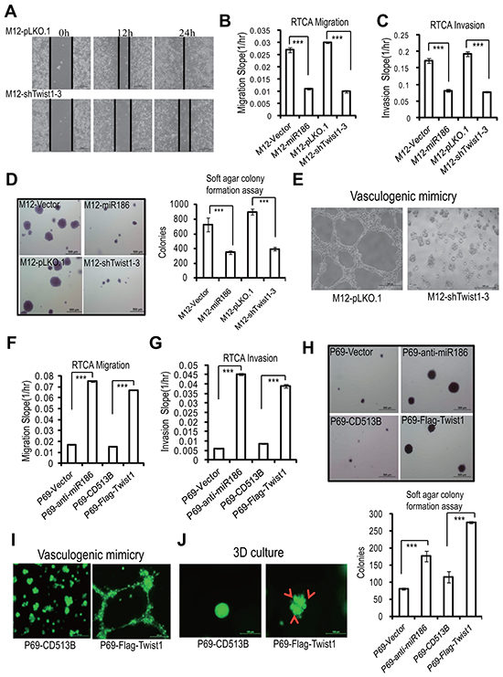 Twist1 mimics miR186-mediated phenotypes in PCa cells.