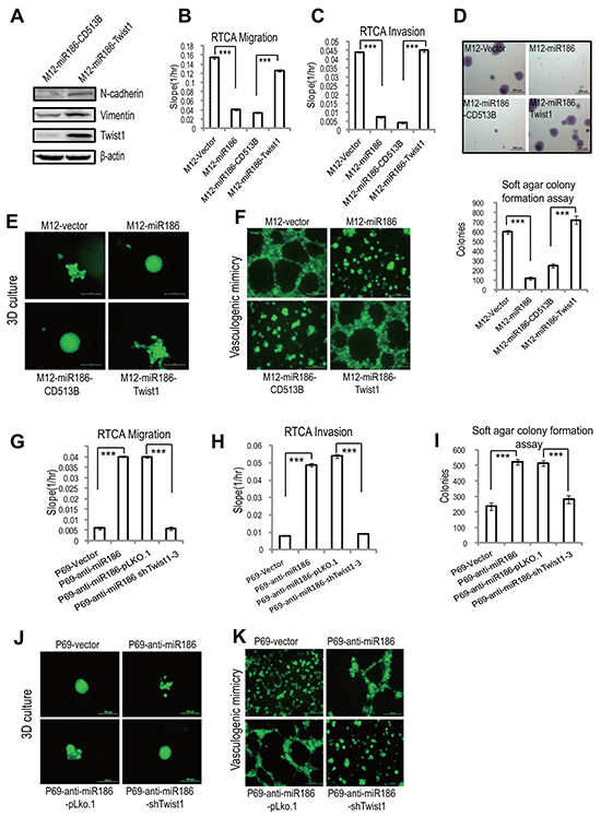miR186 functions by downregulation of Twist1 in PCa cells.