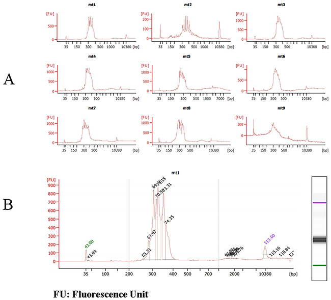 Quality Control Chart of mtDNA Fragment Library Size on Agilent 2100 bioanalyzer.