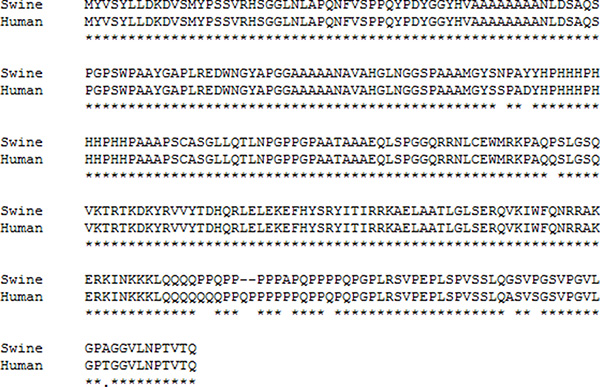 Comparison of the human and pig CDX2 protein sequences.