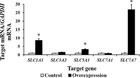 The mRNA abundance (n = 6) of several candidate target genes of CDX2 is increased by CDX2 overexpression.