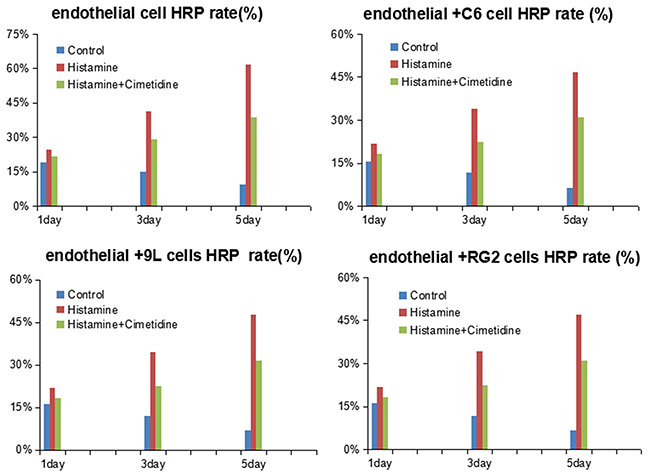 HRP rate of endothelial cells and BTB treated with histamine and cimetidine from day1 to day 5.