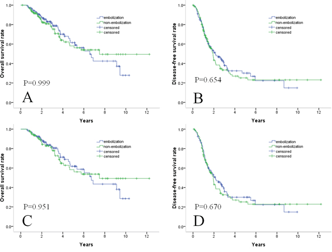 Survival curves in patients with HCC within Milan criteria who underwent TACE with or without embolization combined with RF.