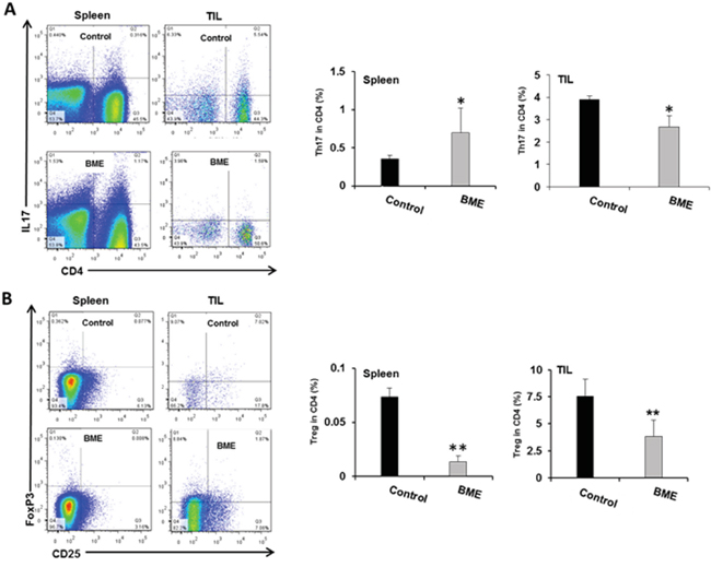 Modulation of tumor-infiltrating CD4+ T cell subsets in the mouse HNSCC model following BME feeding.