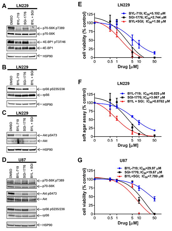 Effects of simultaneous inhibition of PIM and PI3K on cell viability and transformation of GBM cells.