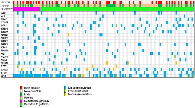 Landscape genomic profile of patients.
