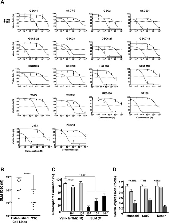 SLM exerts a potent anti-glioma effect in vitro and reduces GSC self-renewal capacity.