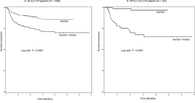 Kaplan-Meier estimates for the cumulative recurrence rates of patients according to IL-1&#x03B1; rs3783553 genotypes (A. all SCCOP patients and B. Tumor HPV16-positive SCCOP patients).