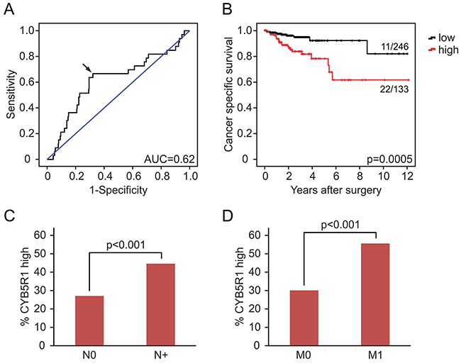 CYB5R1 mRNA expression and survival in colon cancer data from the TCGA.