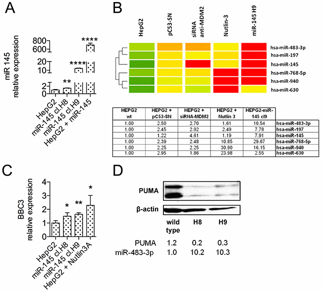 The miR-483-3p expression is induced in HepG2 stable clones over-expressing miR-145-5p.