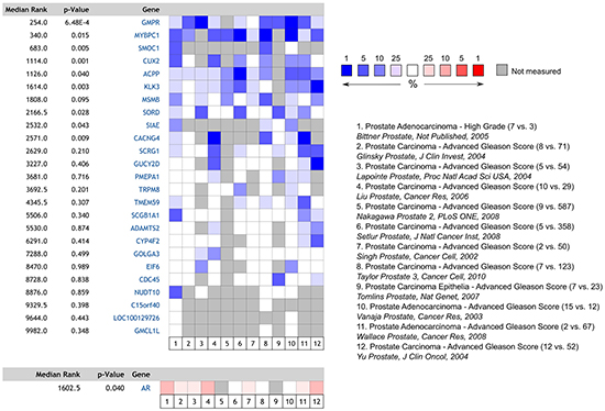 Heatmap and meta-analysis of relative androgen-regulated gene expression in high vs. low-grade prostate tumours derived from the 12 publicly accessible databases listed.