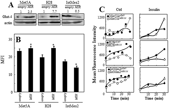 MIR126 induces GLUT-4 expression and inhibits glucose uptake.