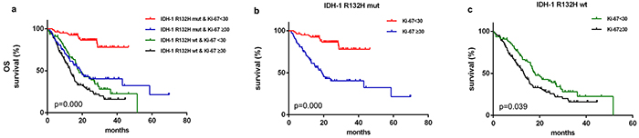 Kaplan&#x2013;Meier survival curves and Breslow tests for IDH-1R132H mut and Ki-67&#x2265;30 in diffuse gliomas.