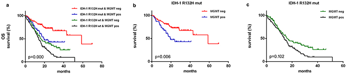 Kaplan&#x2013;Meier survival curves and Breslow tests for IDH-1R132H mut and MGMT proteins in diffuse gliomas.
