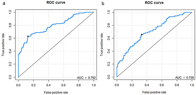 Receiver operating characteristic (ROC) curves of the radiomics signature in the training dataset and validation dataset.