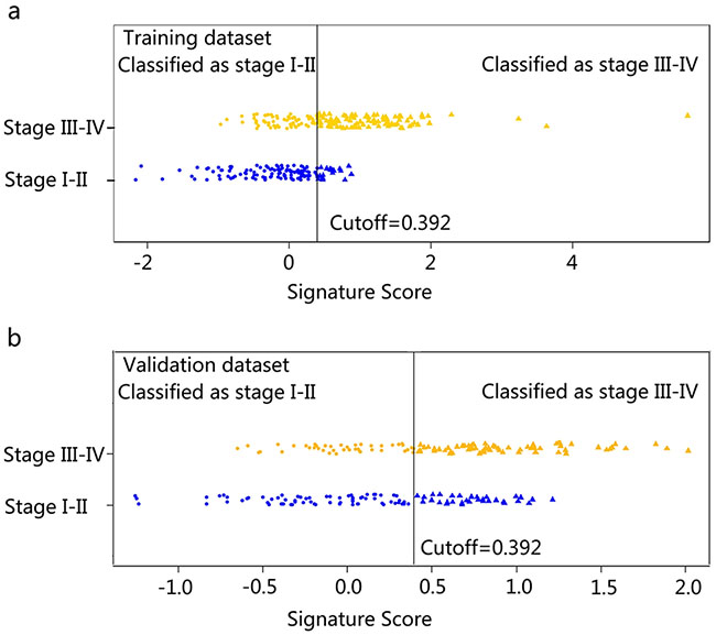 Signature scores for each patient regarding the classification of tumor stage (I-II vs. III-IV) in the training dataset and validation dataset.