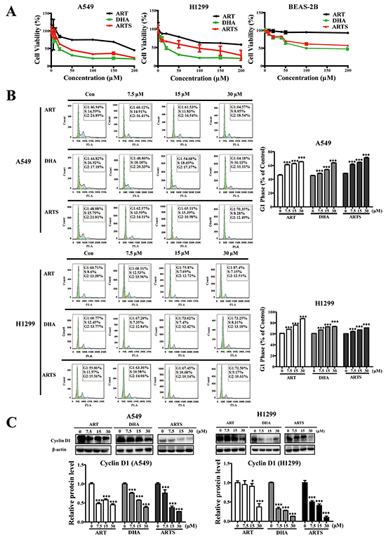 Effects of artemisinin (ART), dihydroartemisinin (DHA), and artesunate (ARTS) on cell viabilities and cell cycle progression.