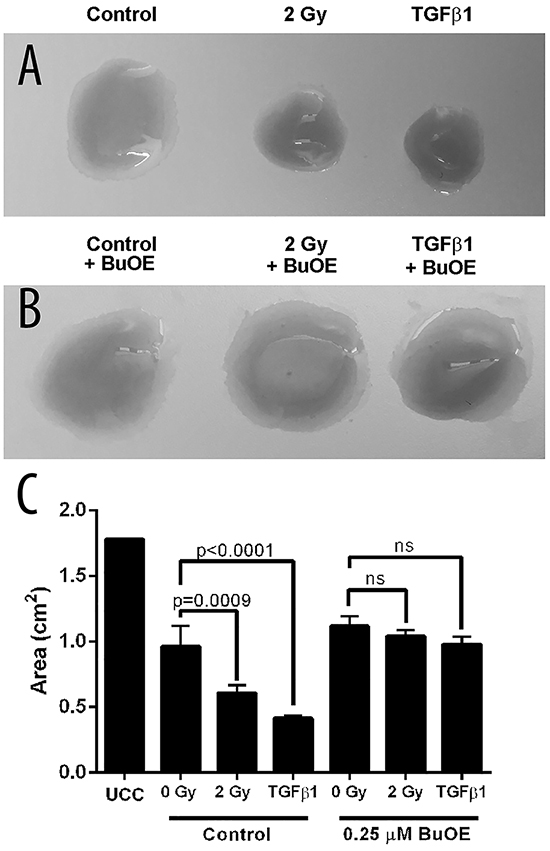 MnTnBuOE-2-PyP prevents contraction of collagen by primary colorectal fibroblasts.
