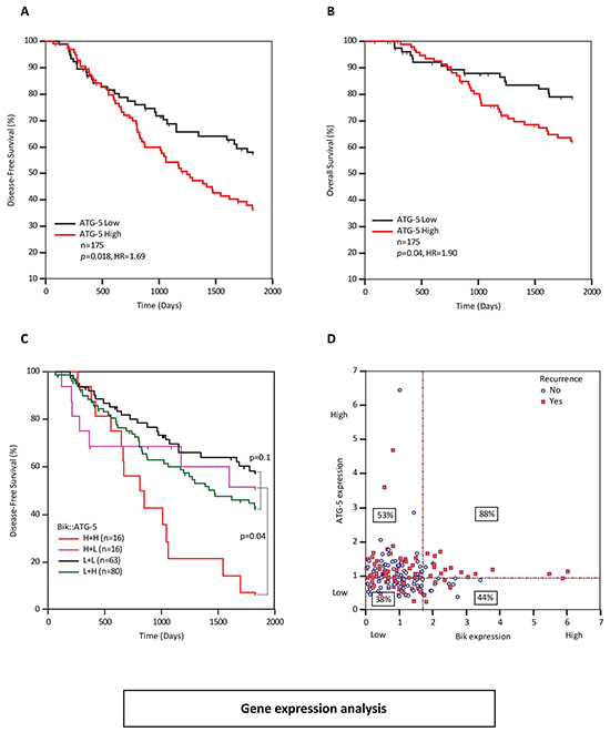 ATG5 transcript levels are elevated in breast cancer patients with poor survival outcomes