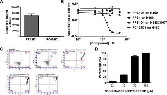 Comprehensive in vitro activity validation of PPS1D1 on H460 lung cancer cell line.