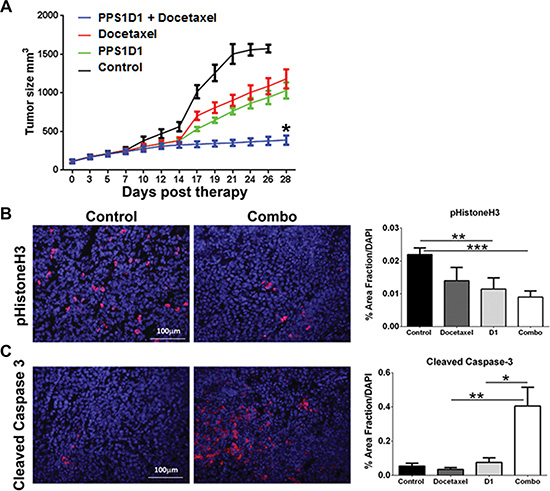 In vivo treatment of PPS1D1 on mice bearing H460 xenografts suppresses tumor growth.