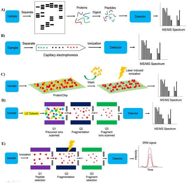 Mass spectrometry technologies.